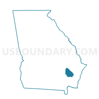 Wayne County in Georgia
